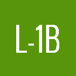L-1B Intra-Company Transferee
